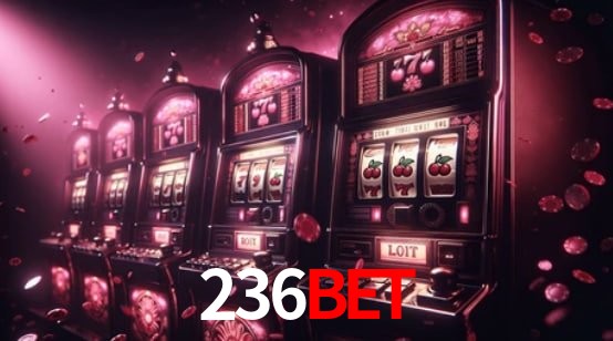 Bônus Diários 236bet