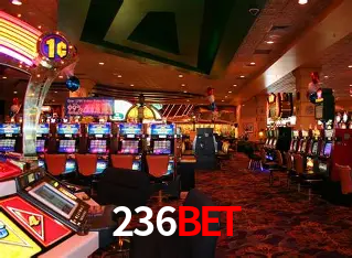 236bet Salvador - Studio Tour