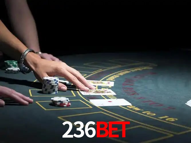 236bet Salvador - Support