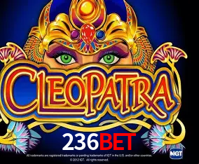236bet Curitiba - Live Status